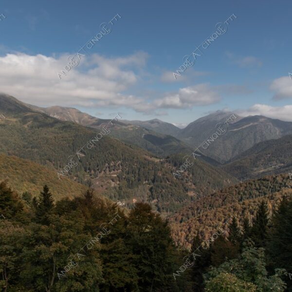 zegna oasi oasis montagna mountain bosco wood foresta forest autunno autumn fall sentiero trail path footpath foliage foglie leaves alberi trees natura nature selvaggio wild passeggiata hike