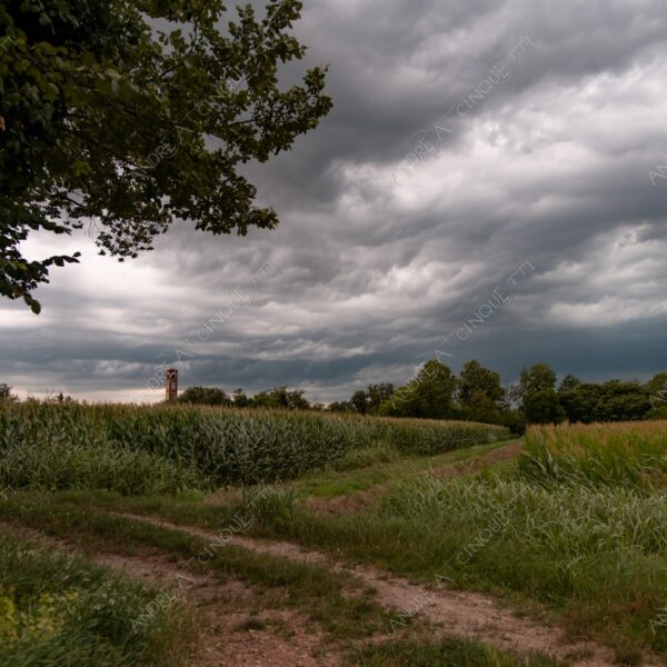 balbiano colturano campagna countryside campi fields meadows campanile belltower belfry steeple chiesa church tempesta storm