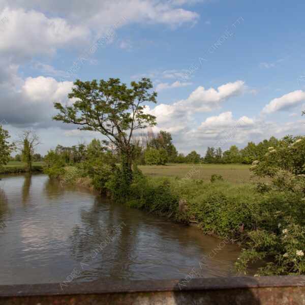 balbiano colturano campagna countryside campi fields meadows fiume river