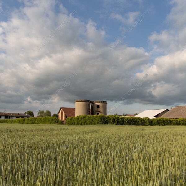 balbiano colturano campagna countryside campi field meadows