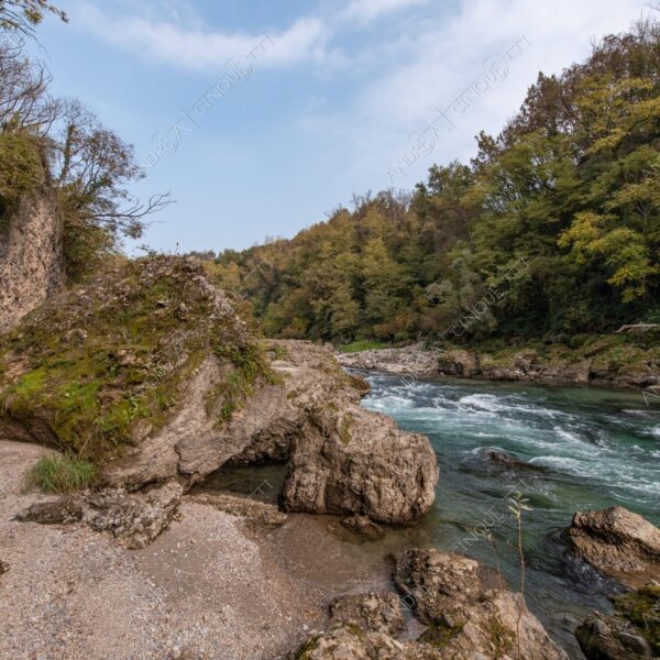 oasi oasis bosco wood foresta forest autunno autumn fall sentiero trail path footpath foliage foglie leaves alberi trees natura nature selvaggio wild fiume river adda parco park