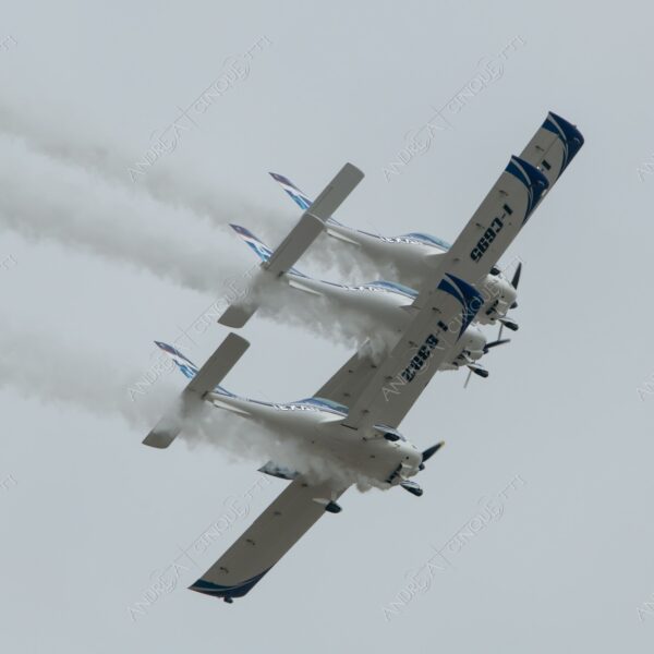 linate aeroporto airport airshow spettacolo aereo plane