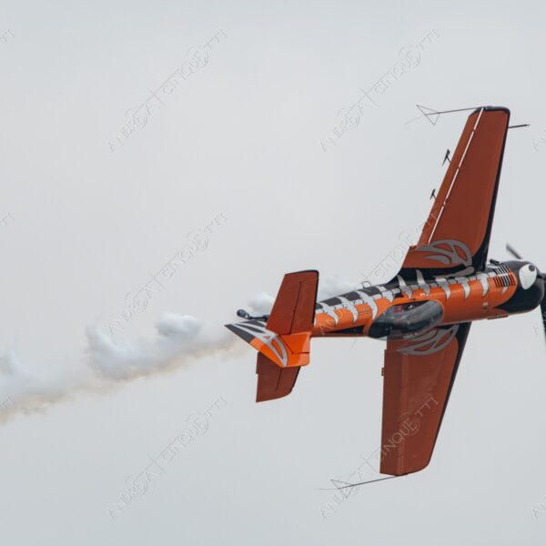 linate aeroporto airport airshow spettacolo aereo plane