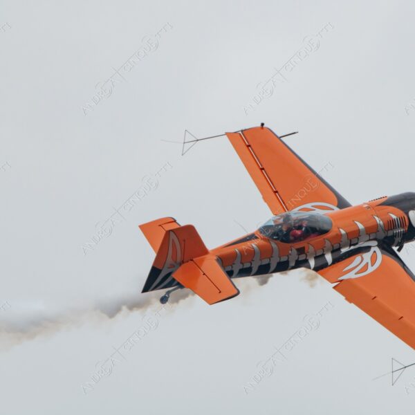 linate aeroporto airport airshow spettacolo aereo plane