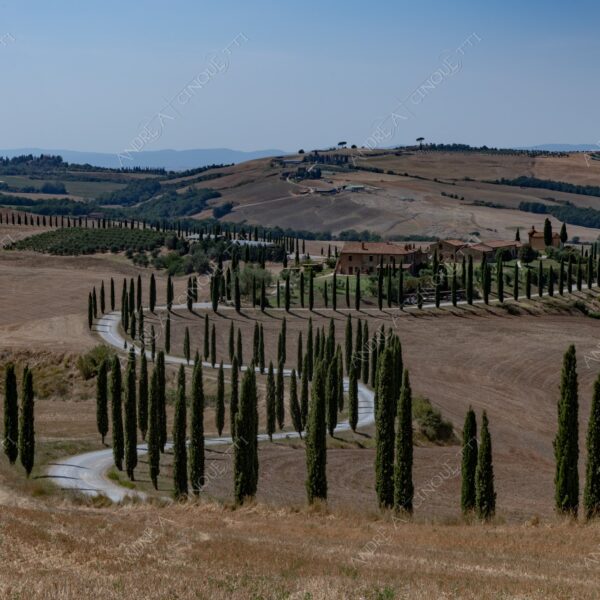 toscana tuscany podere baccoleno