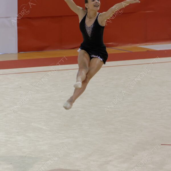 ginnastica ritmica rhythmic gym gara competition esibizione exhibition agonismo competitiveness eleganza elegance elegancy