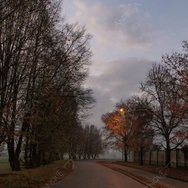 balbiano colturano campagna countryside alba sunrise tramonto sunset sundown crepuscolo twilght dusk nebbia fog foschia misty sole sun
