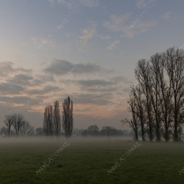 balbiano colturano campagna countryside alba sunrise tramonto sunset sundown crepuscolo twilght dusk nebbia fog foschia misty sole sun