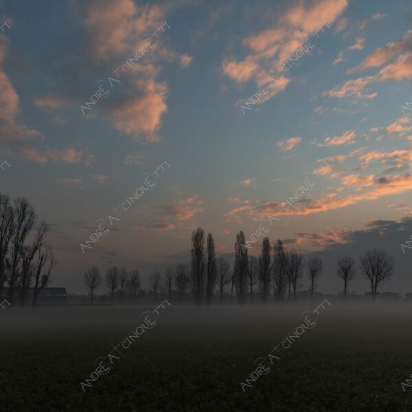 balbiano colturano campagna countryside alba sunrise tramonto sunset sundown crepuscolo twilght dusk nebbia fog foschia misty sole sun