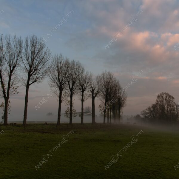 balbiano colturano campagna countryside alba sunrise tramonto sunset sundown crepuscolo twilght dusk nebbia fog foschia misty sole sun