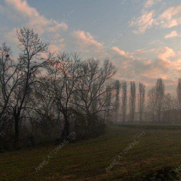 balbiano colturano campagna countryside alba sunrise tramonto sunset sundown crepuscolo twilght dusk nebbia fog foschia misty sole sun