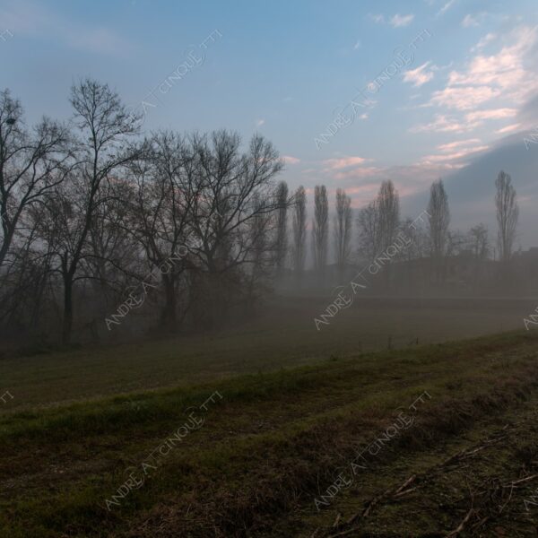 balbiano colturano campagna countryside alba sunrise tramonto sunset sundown crepuscolo twilght dusk nebbia fog foschia misty sole sun