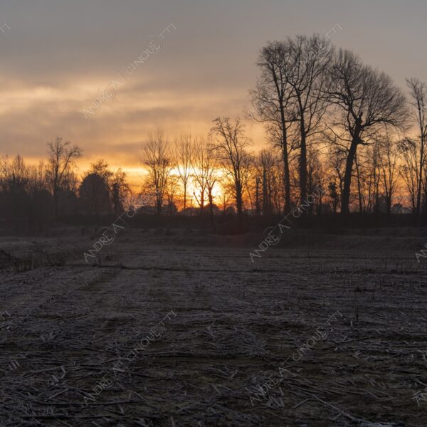 balbiano colturano campagna countryside alba sunrise tramonto sunset sundown crepuscolo twilght dusk nebbia fog foschia misty controluce backlit backlight profilo silhouette sole sun inverno winter brina frost rugiada dew