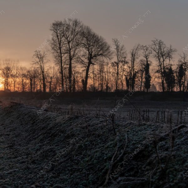 balbiano colturano campagna countryside alba sunrise tramonto sunset sundown crepuscolo twilght dusk nebbia fog foschia misty controluce backlit backlight profilo silhouette sole sun inverno winter brina frost rugiada dew