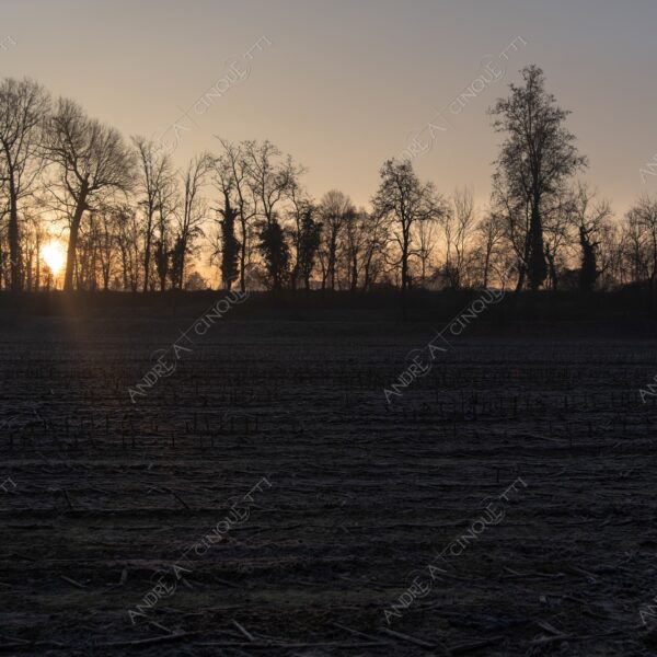balbiano colturano campagna countryside alba sunrise tramonto sunset sundown crepuscolo twilght dusk nebbia fog foschia misty controluce backlit backlight profilo silhouette sole sun inverno winter brina frost rugiada dew