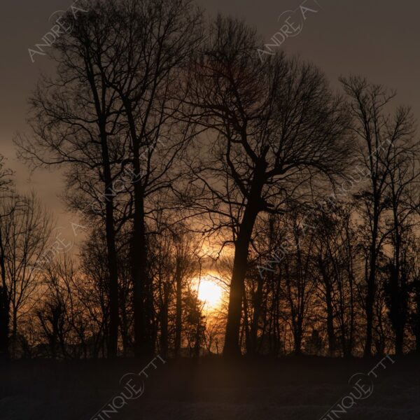 balbiano colturano campagna countryside alba sunrise tramonto sunset sundown crepuscolo twilght dusk nebbia fog foschia misty controluce backlit backlight profilo silhouette sole sun inverno winter brina frost rugiada dew