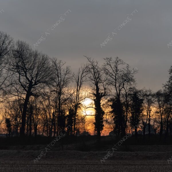 balbiano colturano campagna countryside alba sunrise tramonto sunset sundown crepuscolo twilght dusk nebbia fog foschia misty controluce backlit backlight profilo silhouette sole sun inverno winter brina frost rugiada dew