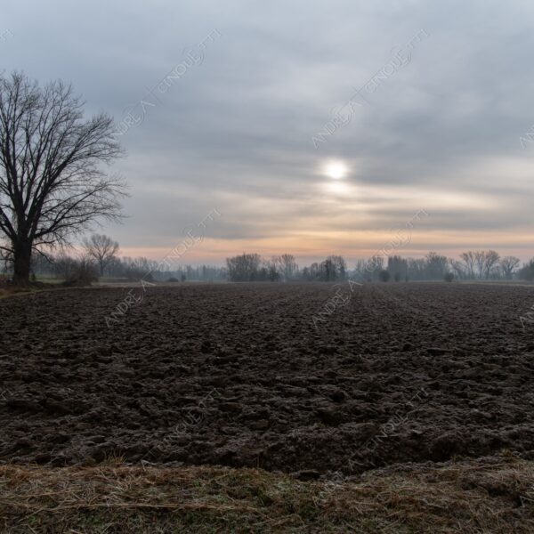 balbiano colturano campagna countryside alba sunrise tramonto sunset sundown crepuscolo twilght dusk nebbia fog foschia misty sole sun