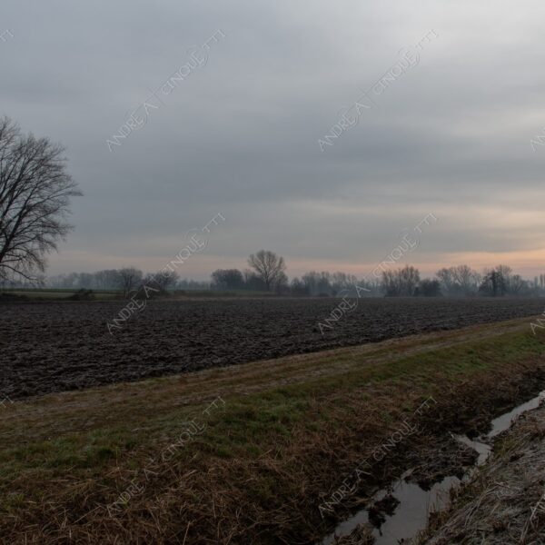 balbiano colturano campagna countryside alba sunrise tramonto sunset sundown crepuscolo twilght dusk nebbia fog foschia misty sole sun