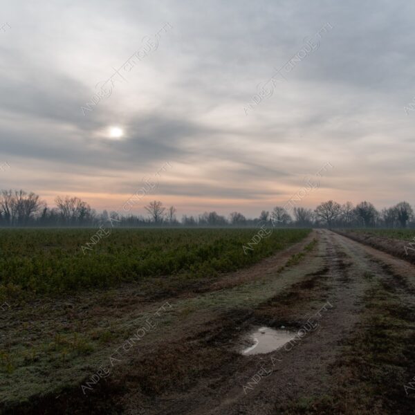 balbiano colturano campagna countryside alba sunrise tramonto sunset sundown crepuscolo twilght dusk nebbia fog foschia misty sole sun