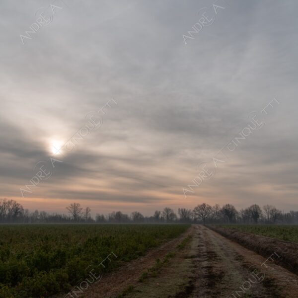 balbiano colturano campagna countryside alba sunrise tramonto sunset sundown crepuscolo twilght dusk nebbia fog foschia misty sole sun