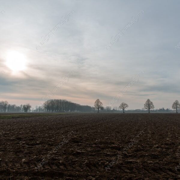 balbiano colturano campagna countryside alba sunrise tramonto sunset sundown crepuscolo twilght dusk nebbia fog foschia misty sole sun