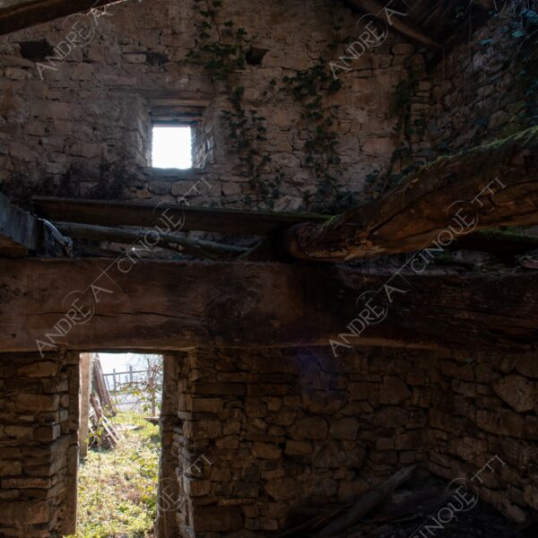 bosco woods foresta forest autunno autumn fall sentiero trail path footpath foliage foglie leaves alberi trees natura nature selvaggio wild casa home house pietre stones abbndonato abandoned forsaken dimenticato forgotten