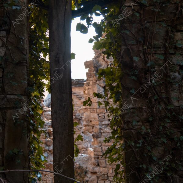 bosco woods foresta forest autunno autumn fall sentiero trail path footpath foliage foglie leaves alberi trees natura nature selvaggio wild casa home house pietre stones abbndonato abandoned forsaken dimenticato forgotten
