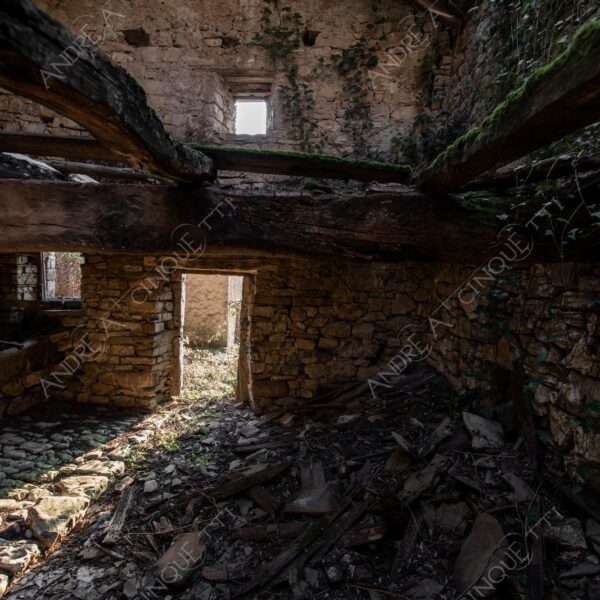 bosco woods foresta forest autunno autumn fall sentiero trail path footpath foliage foglie leaves alberi trees natura nature selvaggio wild casa home house pietre stones abbndonato abandoned forsaken dimenticato forgotten