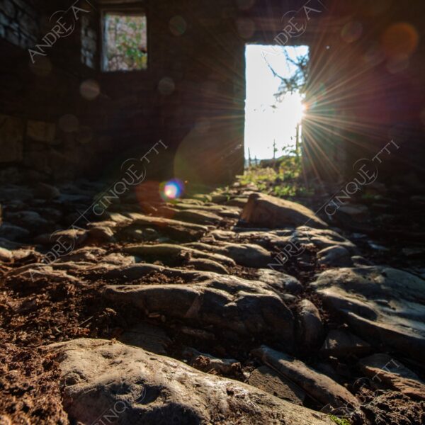 bosco woods foresta forest autunno autumn fall sentiero trail path footpath foliage foglie leaves alberi trees natura nature selvaggio wild casa home house pietre stones abbndonato abandoned forsaken dimenticato forgotten sole sun raggi sunrays beam