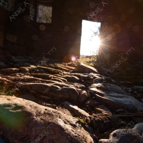 bosco woods foresta forest autunno autumn fall sentiero trail path footpath foliage foglie leaves alberi trees natura nature selvaggio wild casa home house pietre stones abbndonato abandoned forsaken dimenticato forgotten sole sun raggi sunrays beam