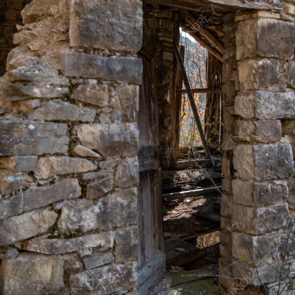bosco woods foresta forest autunno autumn fall sentiero trail path footpath foliage foglie leaves alberi trees natura nature selvaggio wild casa home house pietre stones abbndonato abandoned forsaken dimenticato forgotten