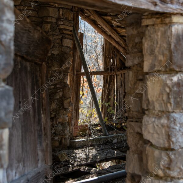 bosco woods foresta forest autunno autumn fall sentiero trail path footpath foliage foglie leaves alberi trees natura nature selvaggio wild casa home house pietre stones abbndonato abandoned forsaken dimenticato forgotten