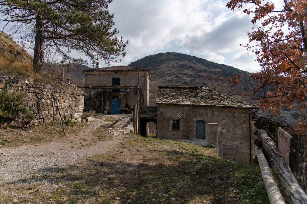 bosco woods foresta forest autunno autumn fall sentiero trail path footpath foliage foglie leaves alberi trees natura nature selvaggio wild casa home house pietre stones abbndonato abandoned forsaken dimenticato forgotten