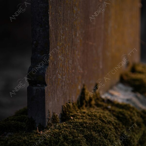 cimitero graveyard cemetery tomba tomb grave lapide headstone abbondonato abandoned forsaken rovine ruins dimenticato forgotten terzo paesaggio sole sun tramonto sunset sundown crepuscolo dusk twilight alba sunrise