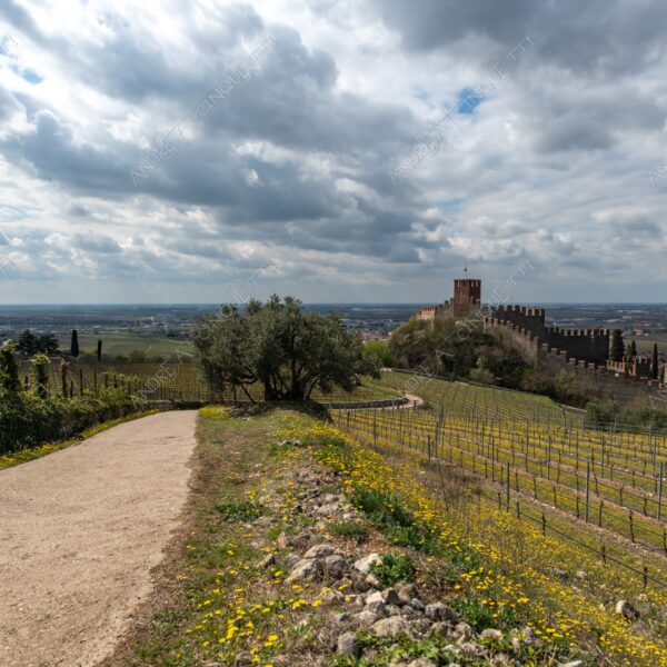 soave paesaggio landscape nuvole clouds temporale storm cloudy nuvoloso castello castle vigneti vineyards collina hill campi fields meadows sentiero taril path footpath