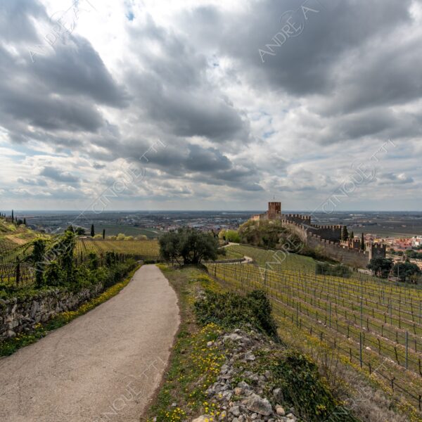 soave paesaggio landscape nuvole clouds temporale storm cloudy nuvoloso castello castle vigneti vineyards collina hill campi fields meadows sentiero taril path footpath
