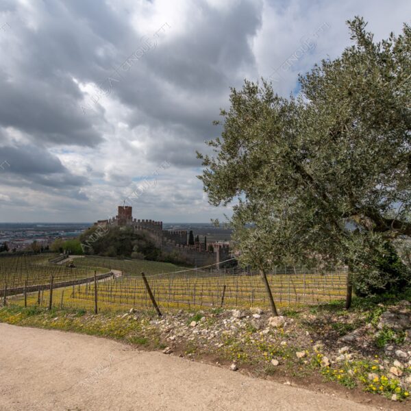 soave paesaggio landscape nuvole clouds temporale storm cloudy nuvoloso castello castle vigneti vineyards collina hill campi fields meadows sentiero taril path footpath