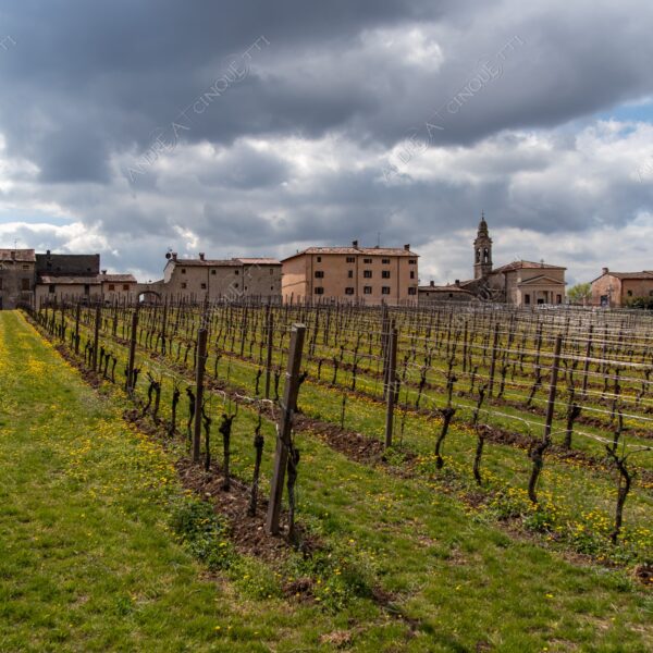 soave paesaggio landscape nuvole clouds temporale storm cloudy nuvoloso vigneti vineyards collina hill campi fields meadows sentiero taril path footpath