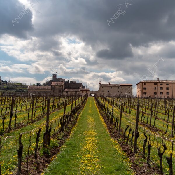 soave paesaggio landscape nuvole clouds temporale storm cloudy nuvoloso vigneti vineyards collina hill campi fields meadows sentiero taril path footpath