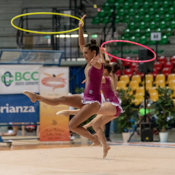 ginnastica ritmica rhythmic gym gara competition esibizione exhibition agonismo competitiveness eleganza elegance elegancy