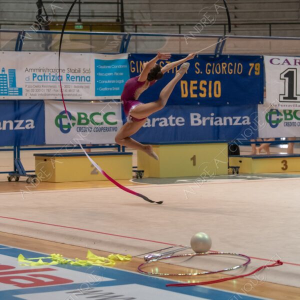 ginnastica ritmica rhythmic gym gara competition esibizione exhibition agonismo competitiveness eleganza elegance elegancy