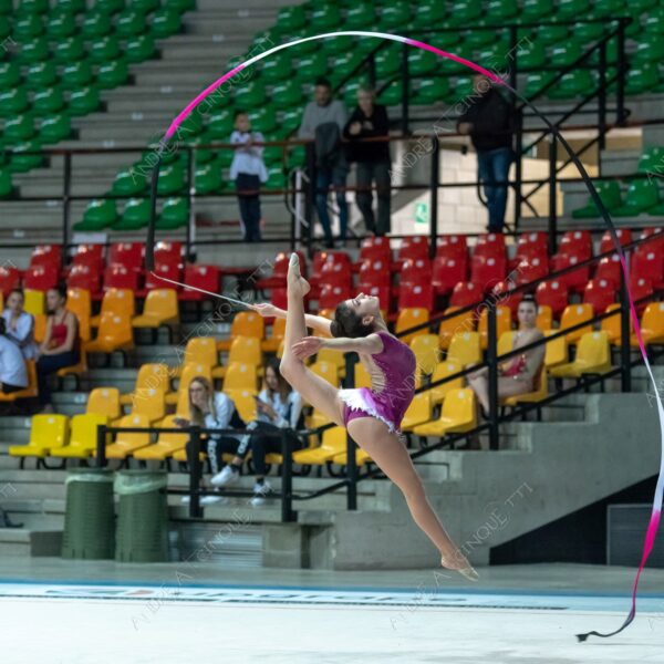 ginnastica ritmica rhythmic gym gara competition esibizione exhibition agonismo competitiveness eleganza elegance elegancy