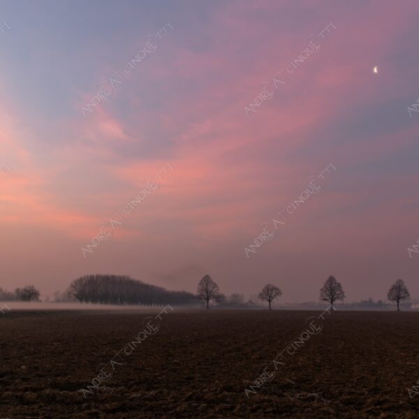 balbiano colturano campagna countryside alba sunrise tramonto sunset sundown crepuscolo twilght dusk nebbia fog foschia misty sole sun