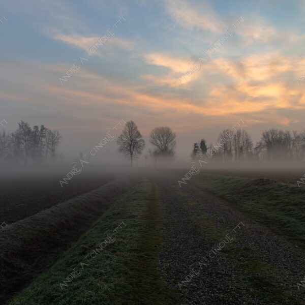 balbiano colturano campagna countryside alba sunrise tramonto sunset sundown crepuscolo twilght dusk nebbia fog foschia misty sole sun