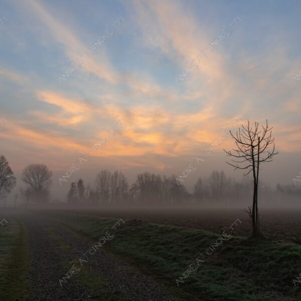 balbiano colturano campagna countryside alba sunrise tramonto sunset sundown crepuscolo twilght dusk nebbia fog foschia misty sole sun