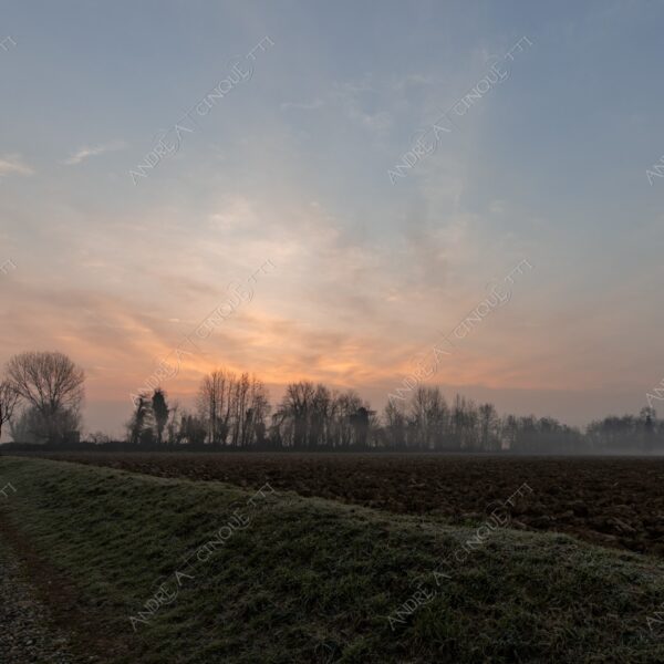 balbiano colturano campagna countryside alba sunrise tramonto sunset sundown crepuscolo twilght dusk nebbia fog foschia misty sole sun