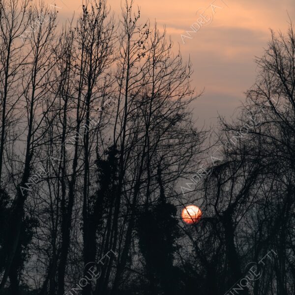 balbiano colturano campagna countryside alba sunrise tramonto sunset sundown crepuscolo twilght dusk nebbia fog foschia misty sole sun