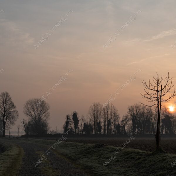 balbiano colturano campagna countryside alba sunrise tramonto sunset sundown crepuscolo twilght dusk nebbia fog foschia misty sole sun