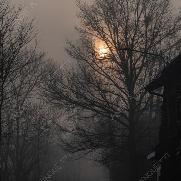 balbiano colturano campagna countryside alba sunrise tramonto sunset sundown crepuscolo twilght dusk fiume river addetta chiesa church ponte bridge campanile belltower belfry steeple nebbia fog foschia misty controluce backlit backlight profilo silhouette sole sun